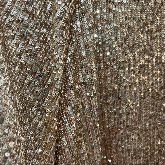 Ann Taylor gold sequin raglan‎ sleeve top  short sleeves large NWT XL holiday - Picture 5 of 14